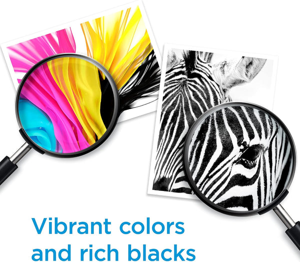 Vibrant Print Ink Cartridges